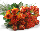 Bunch of pink roses
