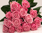 Bunch of pink roses