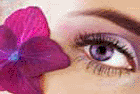 Purple flower and eyes